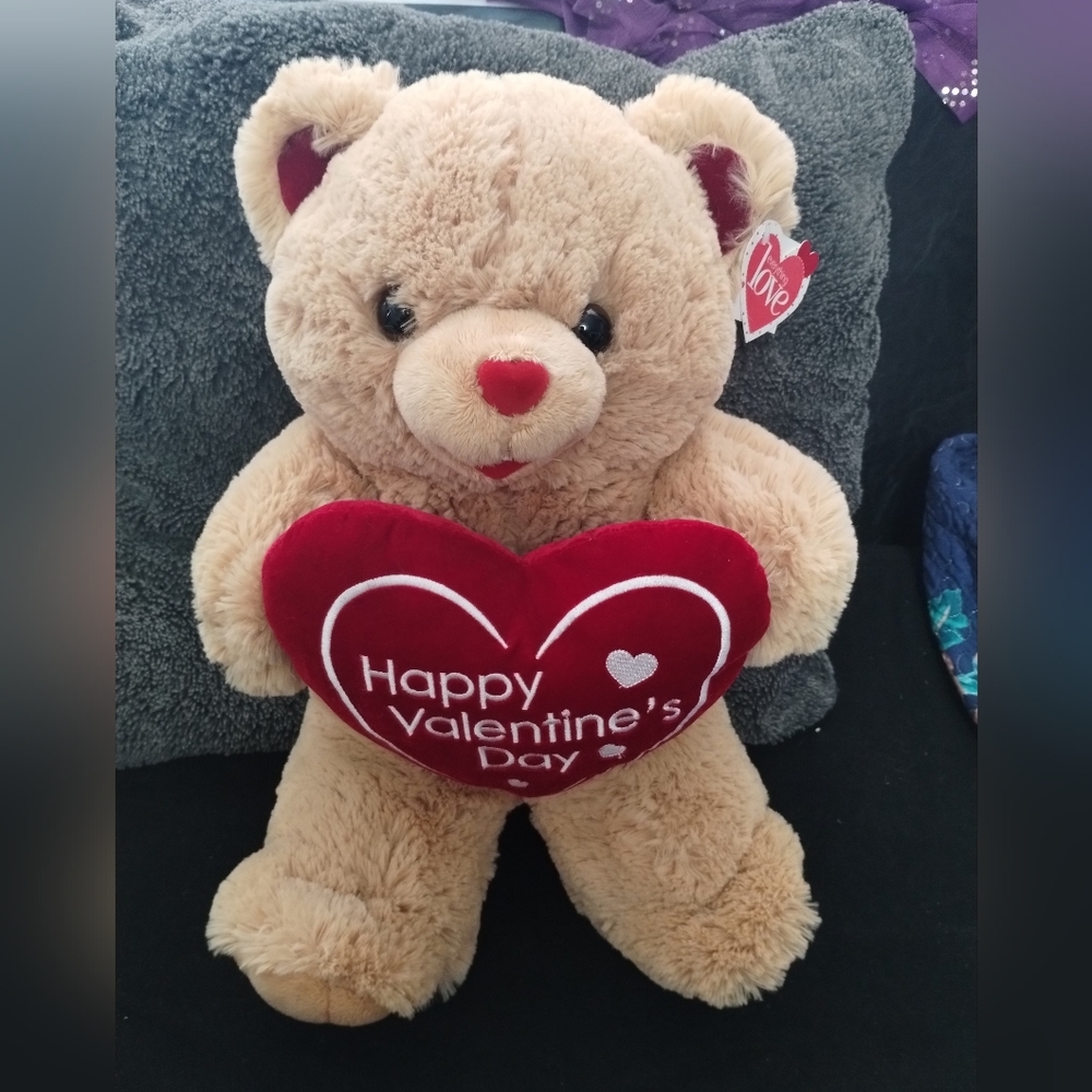 Dan Dee Brown Teddy Bear Plush “Happy Valentines Day” Stuffed Animal Toy 2011
